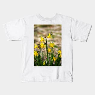 Clump of golden daffodils Kids T-Shirt